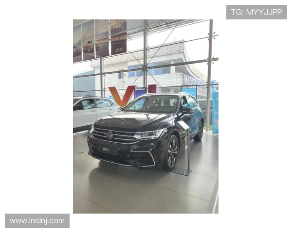 19寸轮毂的途观L330龙耀版 陪阜阳颖上老乡杭州提车🎉🎉 #途观l